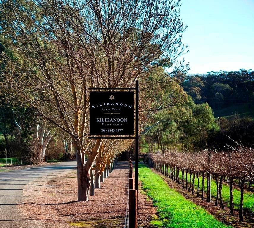 Wine of the month image